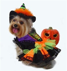 Halloween Witch Costume - Posh Puppy Boutique