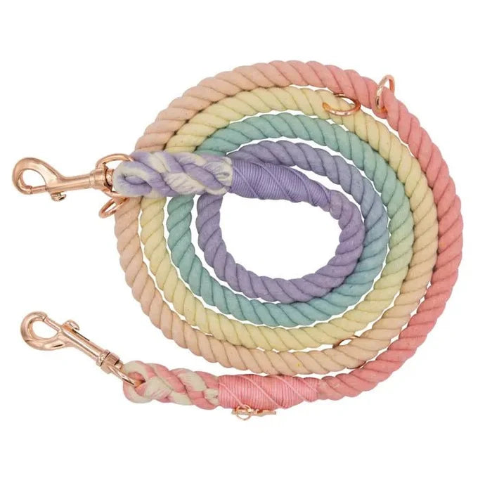 Hands Free Rope Leash - Rainbow Bright - Posh Puppy Boutique