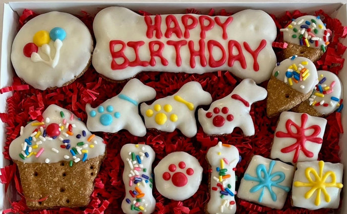Happy Birthday Dog Treat Gift Box in White - Posh Puppy Boutique