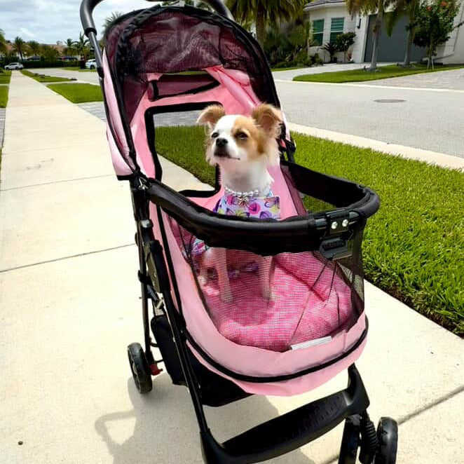 Happy Trails NO-ZIP Pet Stroller in Pink