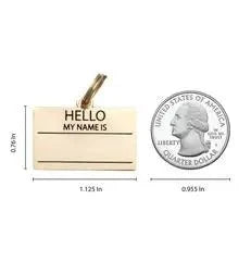 Hello My Name is Pet ID Tag in Silver - Posh Puppy Boutique