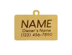 Hello My Name is Pet ID Tag in Silver - Posh Puppy Boutique