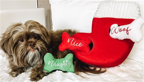 Holiday Burrow- Naughty or Nice Stocking