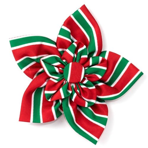 Holiday Stripe Flower - Posh Puppy Boutique