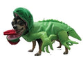 Iguana Costume - As Seen in TIME Magazine - Posh Puppy Boutique