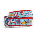 Independence Day Collar & Lead Collection - Posh Puppy Boutique