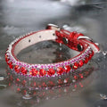 Inner Harmony - Root Chakra Inspired Pet Collar - Posh Puppy Boutique