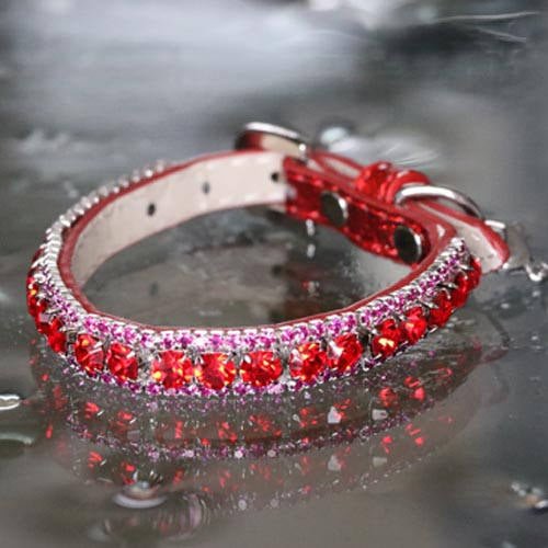 Inner Harmony - Root Chakra Inspired Pet Collar - Posh Puppy Boutique