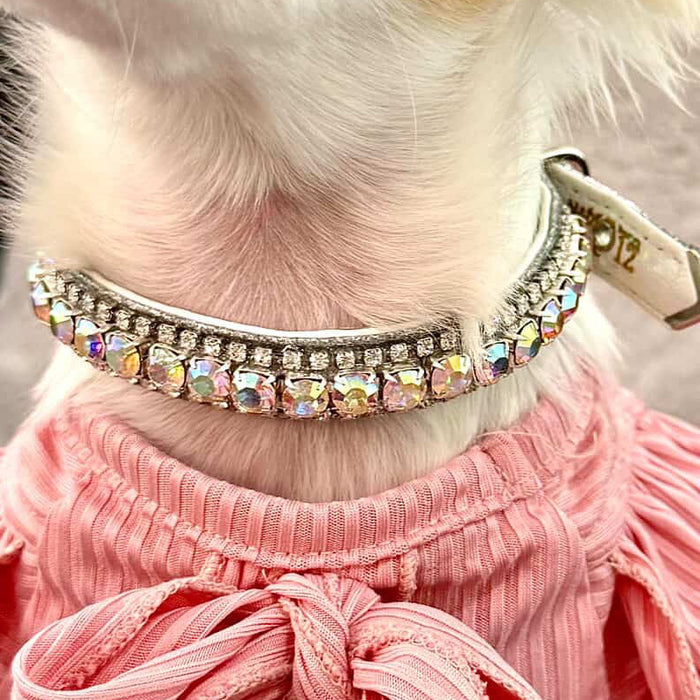 Inner Harmony Pet Collar - Aura Chakra Inspired