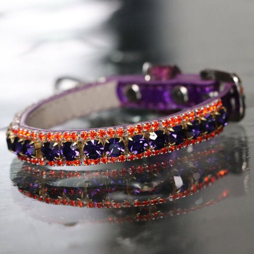 Inner Harmony Pet Collar - Brow Chakra Inspired - Posh Puppy Boutique