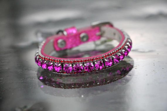 Inner Harmony Pet Collar - Crown Chakra Inspired - Posh Puppy Boutique