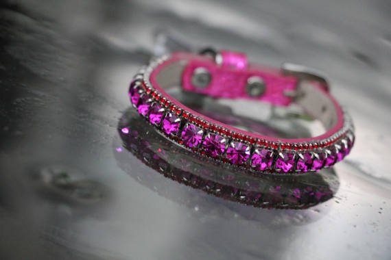Inner Harmony Pet Collar - Crown Chakra Inspired - Posh Puppy Boutique
