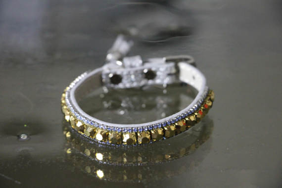 Inner Harmony Pet Collar - Solar Plexus Inspired - Posh Puppy Boutique