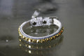 Inner Harmony Pet Collar - Solar Plexus Inspired - Posh Puppy Boutique