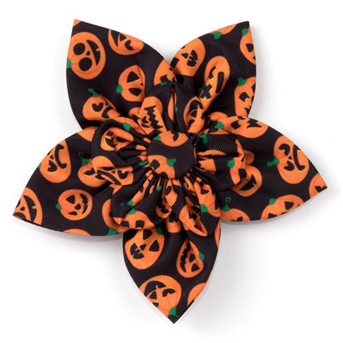 Jack - O' - Lantern Flower - Posh Puppy Boutique