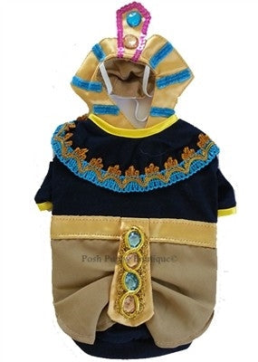 King Mutt Costume - Posh Puppy Boutique