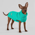 Knit Sweater in Green - Posh Puppy Boutique
