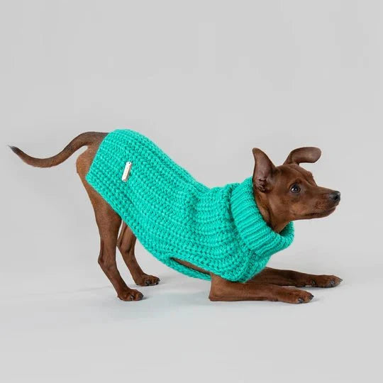 Knit Sweater in Green - Posh Puppy Boutique
