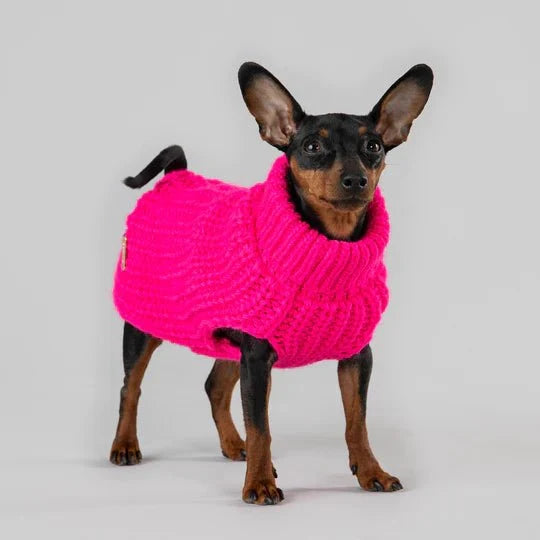 Knit Sweater in Hot Pink - Posh Puppy Boutique
