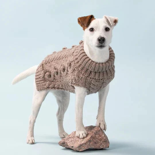 Knit Sweater in Taupe - Posh Puppy Boutique