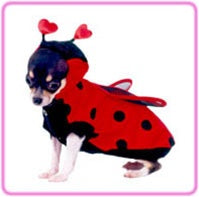 Lady Bug Costume - Posh Puppy Boutique