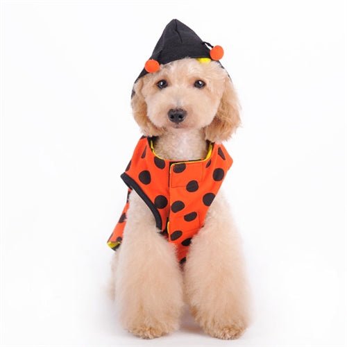 Ladybug Bumblebee Reversible Dog Costume - Posh Puppy Boutique