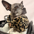 Leopard Sherpa 1/4 Zip Pullover