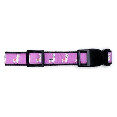 Llamas Collar & Lead Collection - Posh Puppy Boutique