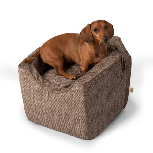 Showdog Merlin Camel / Small
