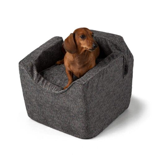 Showdog Merlin Pewter / Small