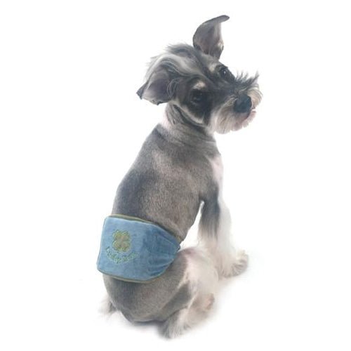Lucky Dog Belly Band - Posh Puppy Boutique