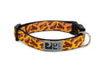 Meat Lovers Clip Collar - Posh Puppy Boutique