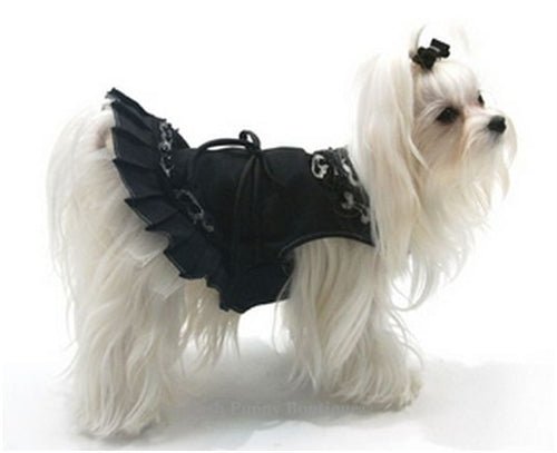 Midnight in Paris Dress - Posh Puppy Boutique