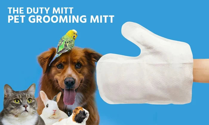 Pet Grooming Mitt (Scented & Moist) - Posh Puppy Boutique