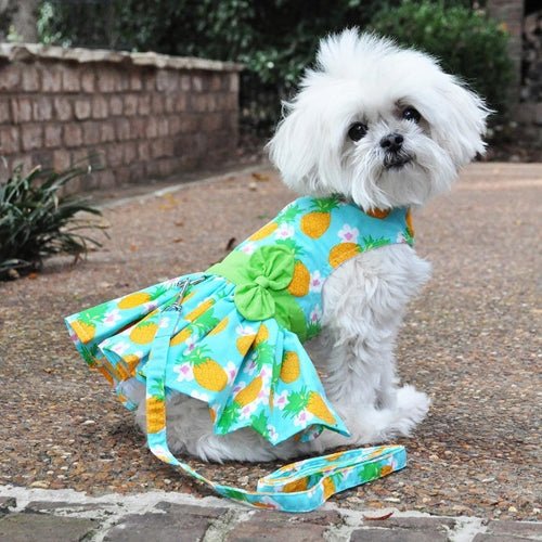 Pineapple Luau Dog Harness Dress with Matching Leash - Posh Puppy Boutique
