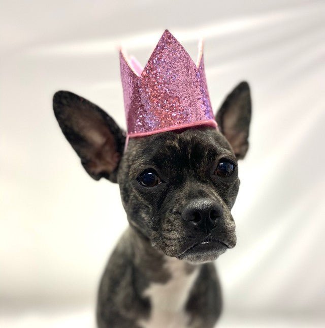 Pink Crown Party Hat - Posh Puppy Boutique