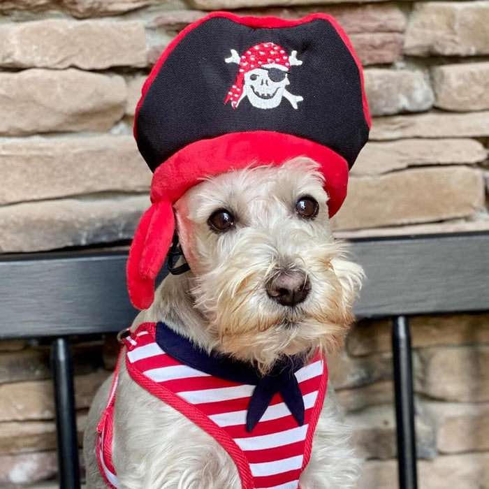 Pirate Party Hat