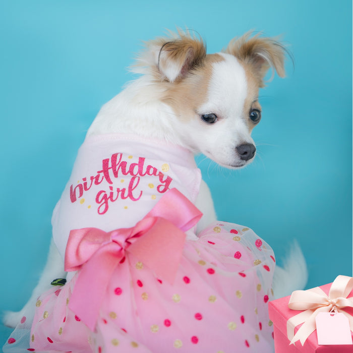 Polka Dot Birthday Girl Tulle Dress