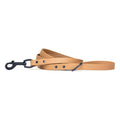 Range Day Leash in 4 Colors - Posh Puppy Boutique