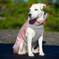 Recovery Winter Shirt in Pink - Posh Puppy Boutique