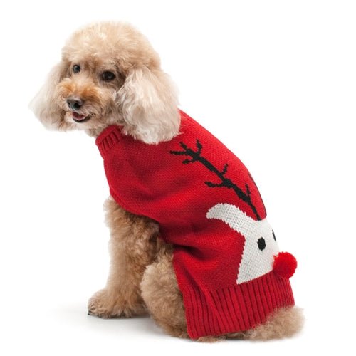 Red Nose Reindeer Sweater - Posh Puppy Boutique