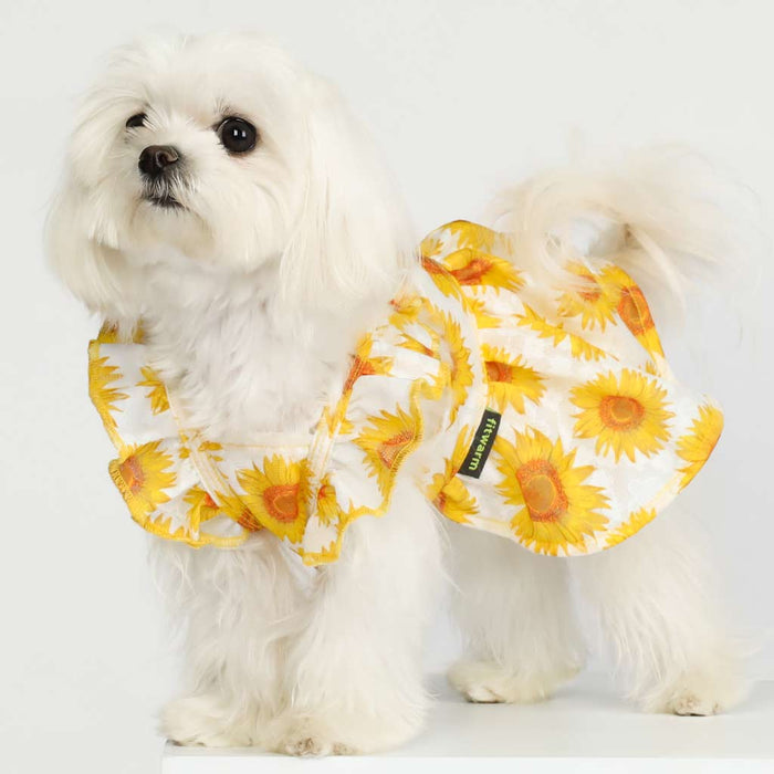 Ruffle Sleeves Sundress in Yellow - Posh Puppy Boutique