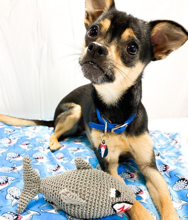 Shark Crochet Plush Toy - Posh Puppy Boutique