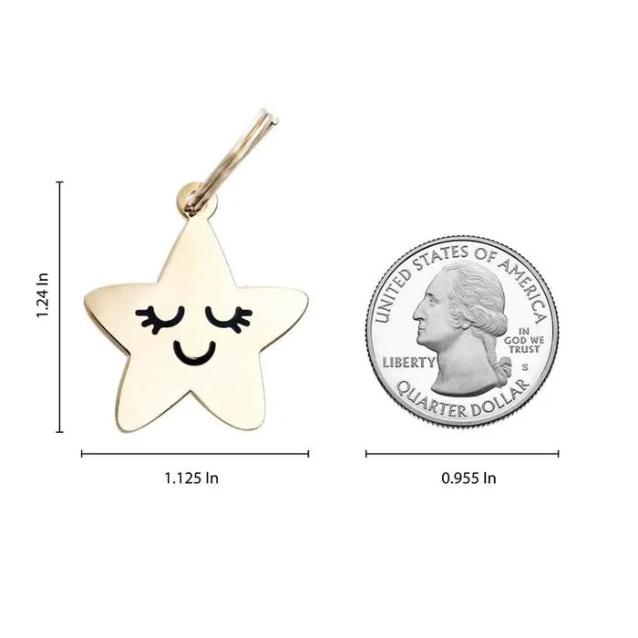 Smiling Star Pet ID Tag - Posh Puppy Boutique