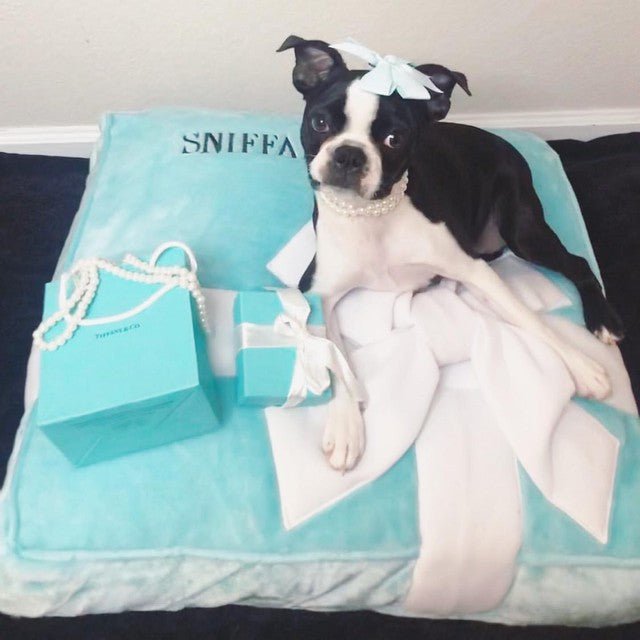 Sniffany & Company Bed - Posh Puppy Boutique