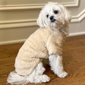 Soft Plush Pullover in Cream - Posh Puppy Boutique