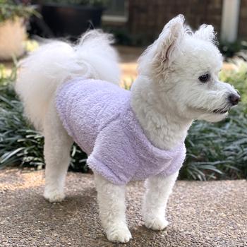 Soft Plush Pullover in Lilac - Posh Puppy Boutique