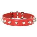 Spiked Leather Collar with 1 Row of Spikes - Red - Posh Puppy Boutique