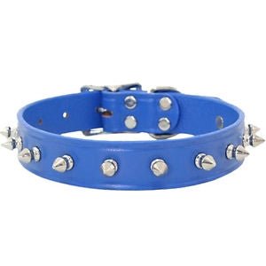 Spiked Leather Collar with 1 Row of Spikes - Royal - Posh Puppy Boutique