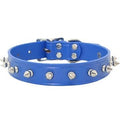 Spiked Leather Collar with 1 Row of Spikes - Royal - Posh Puppy Boutique